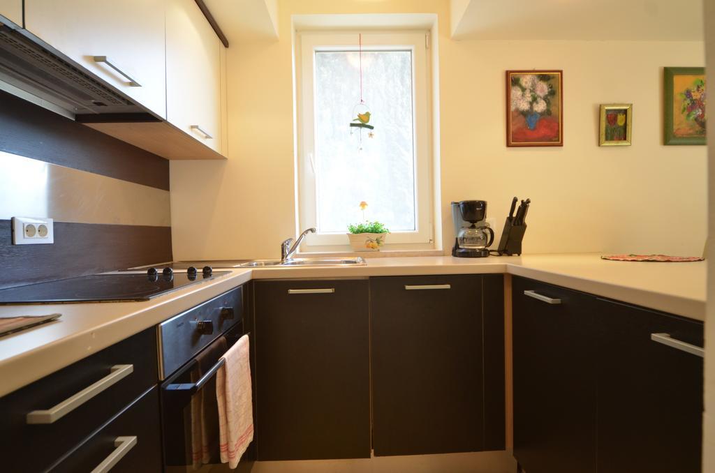 Apartment Kare Ρόβινι Εξωτερικό φωτογραφία